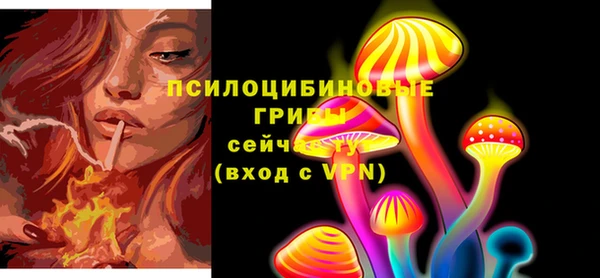 ПСИЛОЦИБИНОВЫЕ ГРИБЫ Аркадак