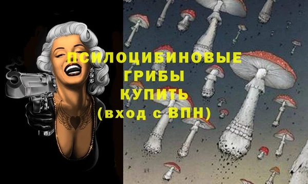 герыч Арсеньев