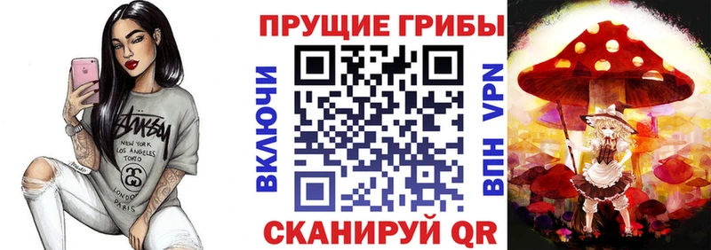 купить  сайты  Малоярославец  hydra ТОР  Галлюциногенные грибы Psilocybe 